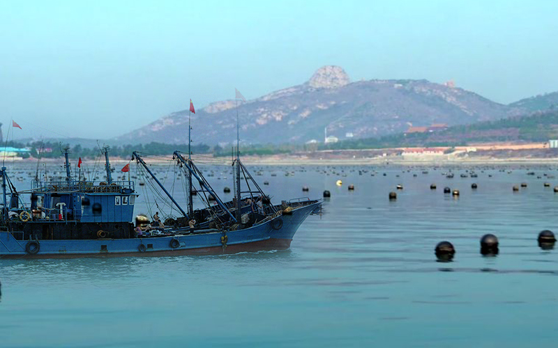 为什么都说乳山牡蛎好！