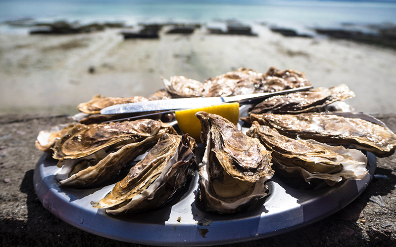 乳山牡蛎的发展历程