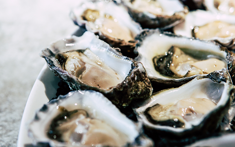 乳山牡蛎可以经常吃吗